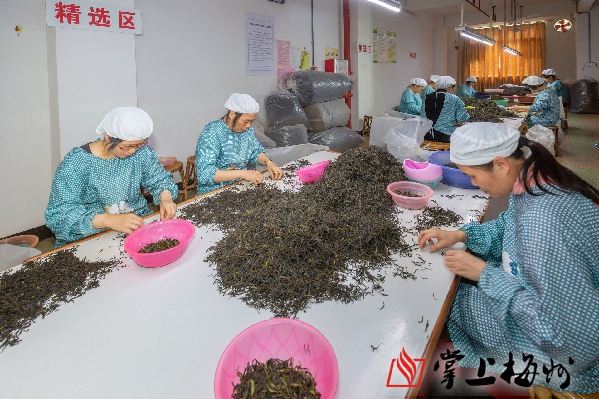 梅州这6个茶产品是2021年广东十大茗茶bsport体育！(图1)